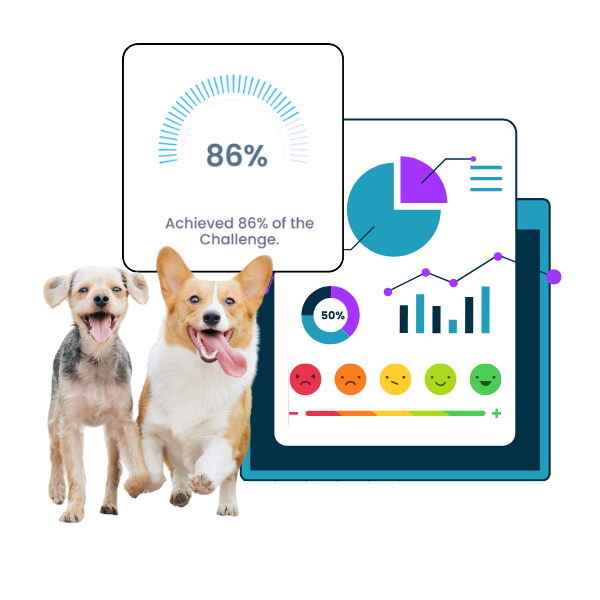 Personalised Behaviour Tracking