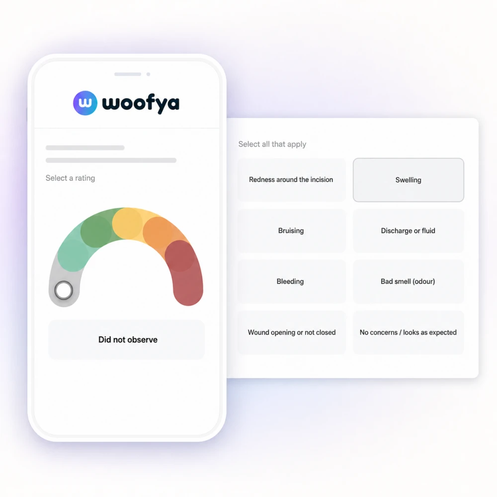 Woofya parent check-in with a recovery rating slider and selectable observations