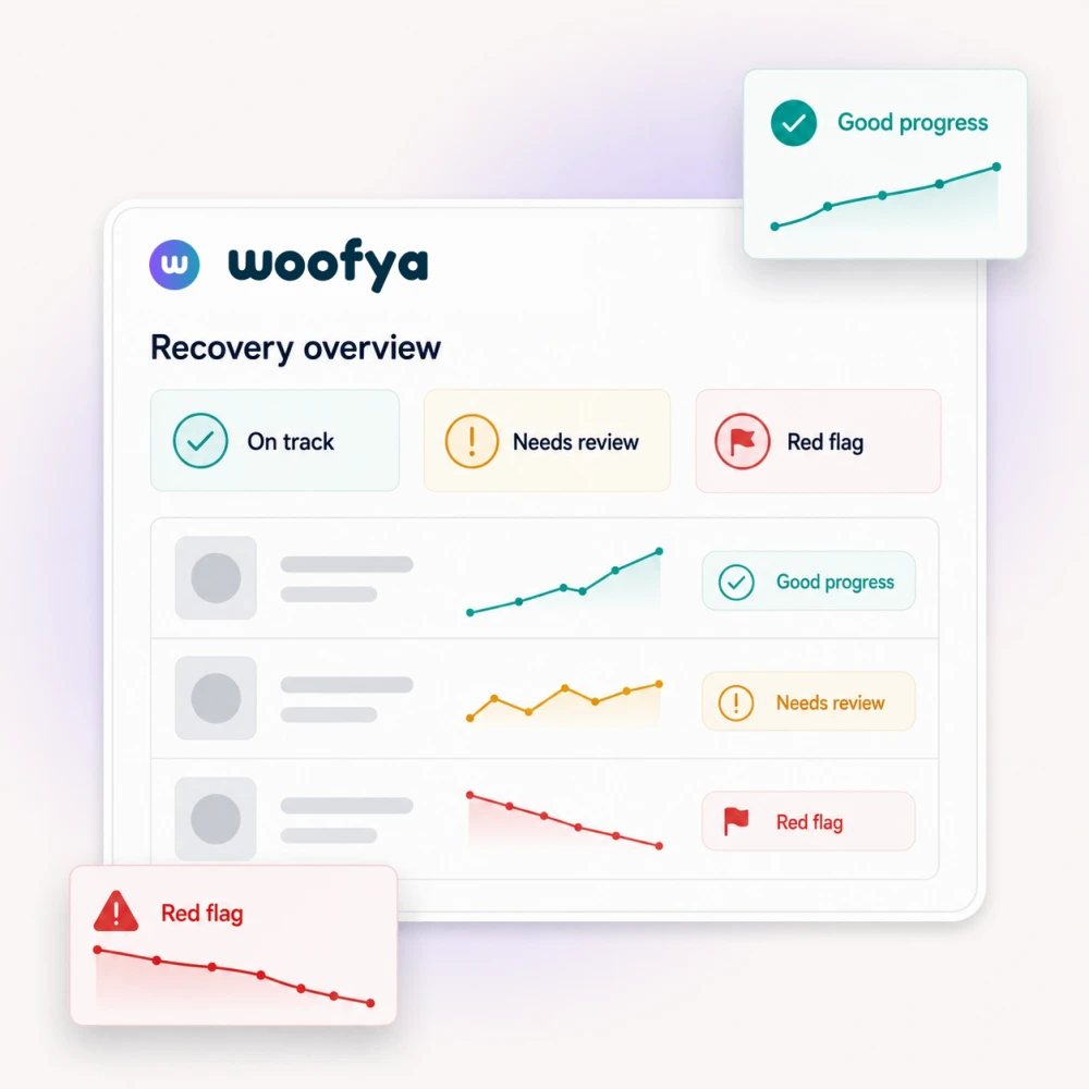 Woofya recovery overview showing good progress, patients needing review, and red flags